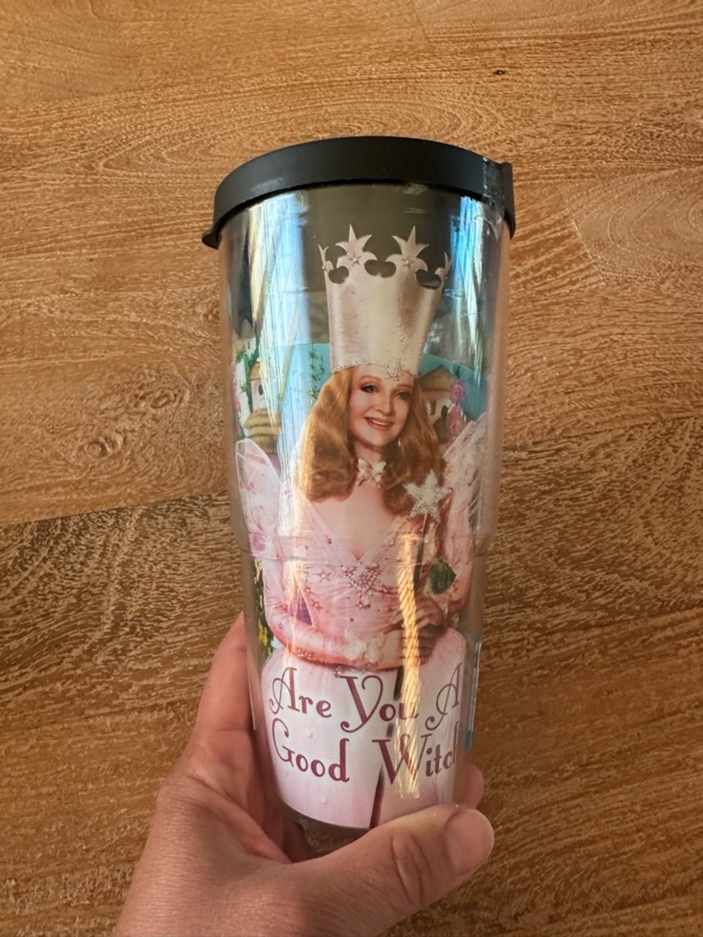 New!!  Wizard of Oz Tervis Tumbler and lid